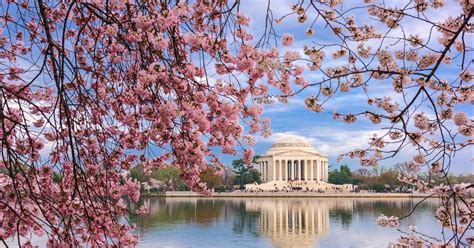 Cheap Flights to the United States from ₱16,492 .